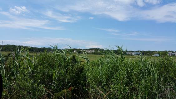 Macintosh HD:Users:btkempf:Documents:rutala:Somers Point:20160617_150259.jpg