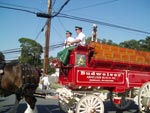 Anheuser-Busch Clydesdale Wagon and Team Parade