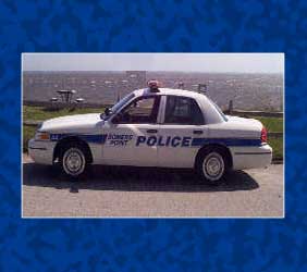 Slide show image.